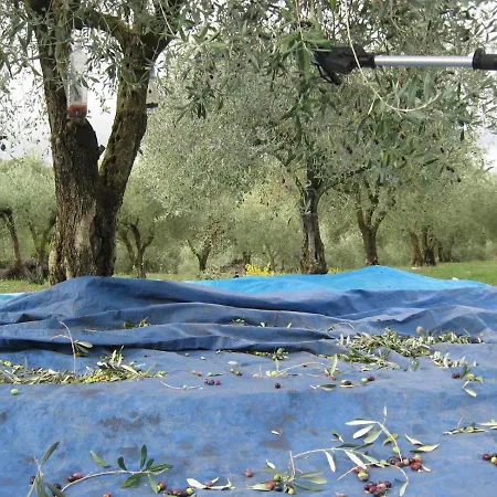 Pibitzoi Nocleg ze śniadaniem Nurallào