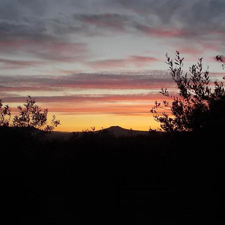 Pibitzoi Nocleg ze śniadaniem 3*