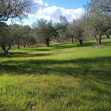 Pibitzoi 3* Nurallào