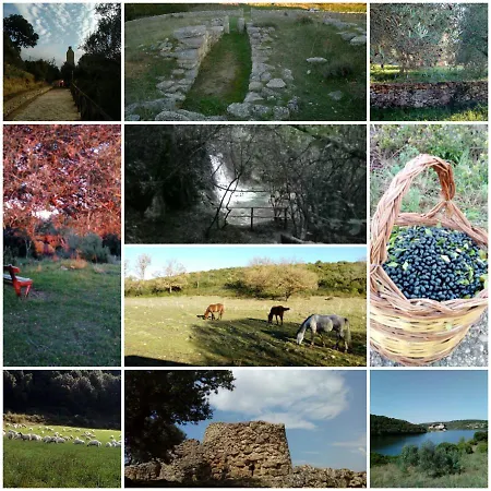 Bed & Breakfast Pibitzoi 3*