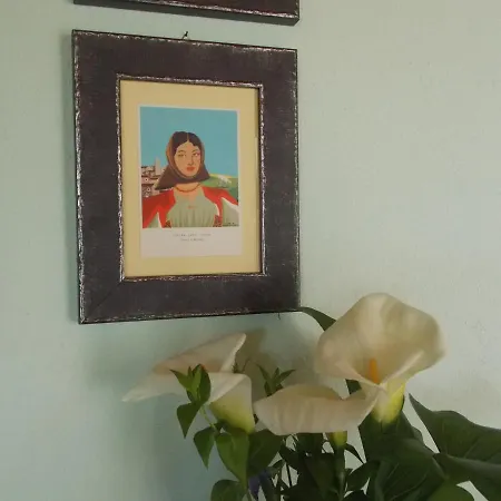 Pibitzoi 3* Nurallào