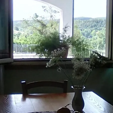 Pibitzoi