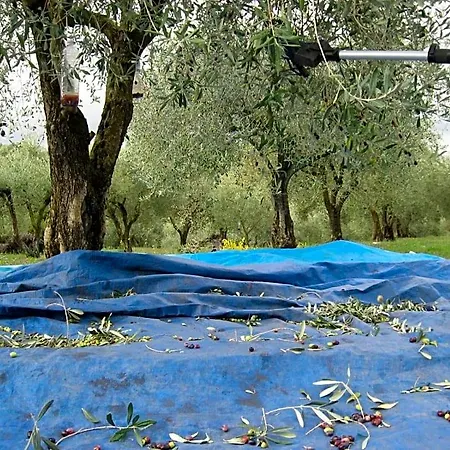 Bed & Breakfast Pibitzoi