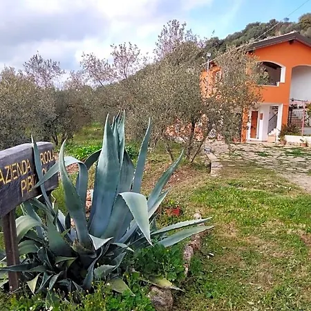 Pibitzoi Bed & Breakfast