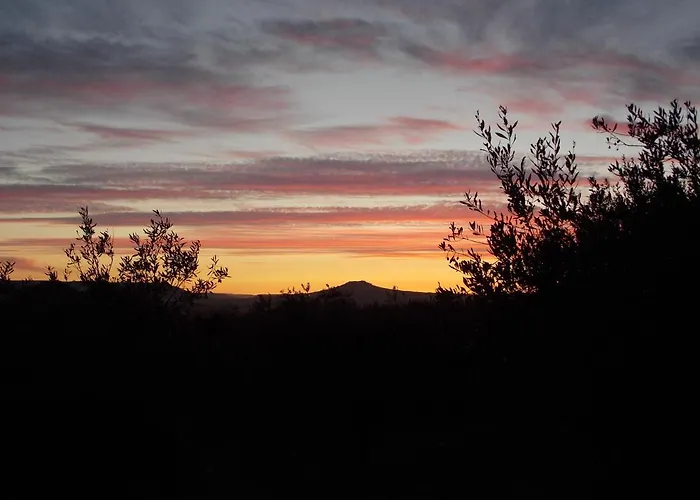 Pibitzoi Oda ve Kahvaltı 3*