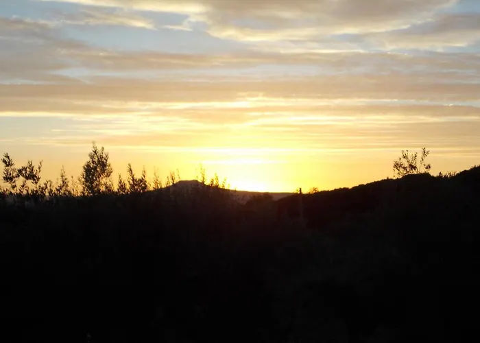 Pibitzoi Oda ve Kahvaltı